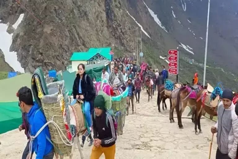  चारधाम मार्गों पर अब तक 140 घोड़े-खच्चरों की मौत, पशु क्रूरता को लेकर 9 मुकदमे दर्ज