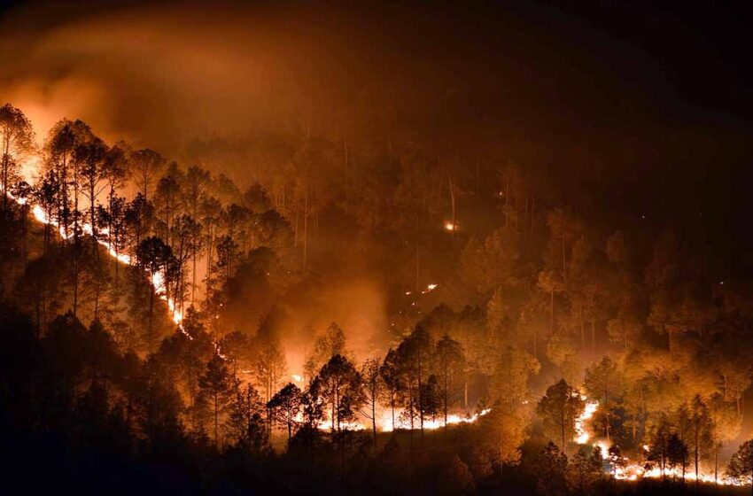  उत्तराखंड के जंगलों में बेकाबू हुई आग, एक दिन में 54 घटनाएं