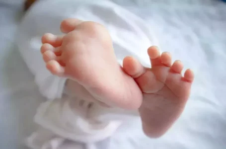 चमोली: गोबर के अंदर मिला नवजात का शव, माँ गिरफ्तार, संभावित पिता की तलाश जारी