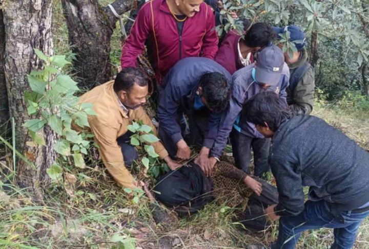  उत्तराखंड में भालू का आतंक: घास लेने गई महिला पर किया हमला, जंगल में काटनी पड़ी रात