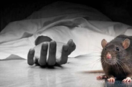 उत्तराखंड: हॉस्पिटल के मोर्चरी में रखे शव को कुतर गए चूहे, मंजर देख लोगों का फूटा गुस्सा