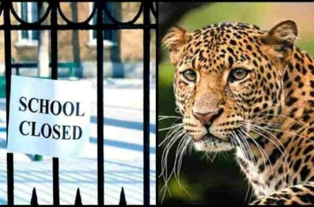 पौड़ी में नरभक्षी गुलदार की दहशत: स्कूलों में छुट्टियां घोषित…