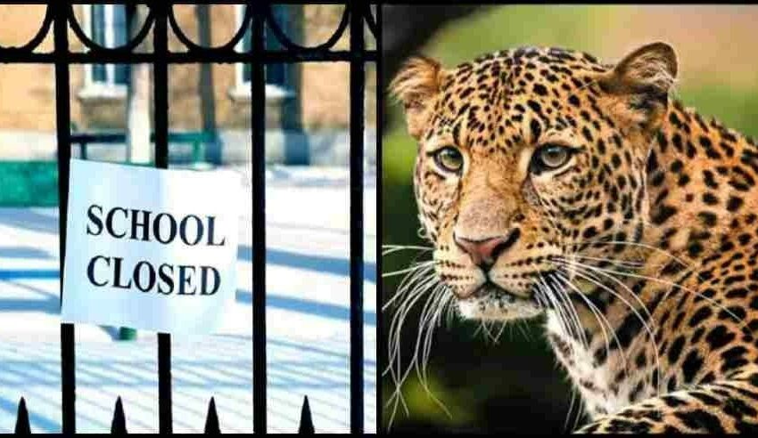  पौड़ी में नरभक्षी गुलदार की दहशत: स्कूलों में छुट्टियां घोषित…