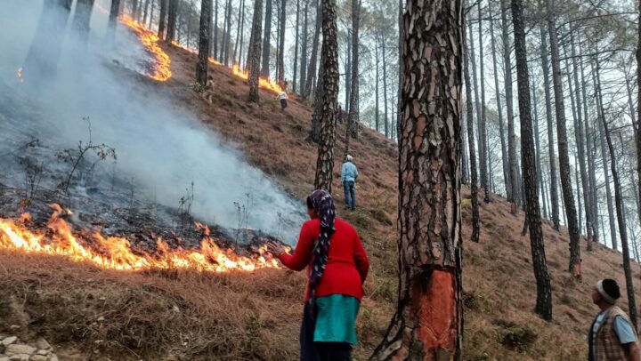 उत्तराखंड के जंगलों की आग बुझाने वाले को 1 लाख इनाम…भाजपा सरकार का बड़ा ऐलान
