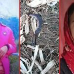 उत्तराखंड: गृहक्लेश में पति ने पाटल से वारकर की पत्नी की निर्मम हत्या