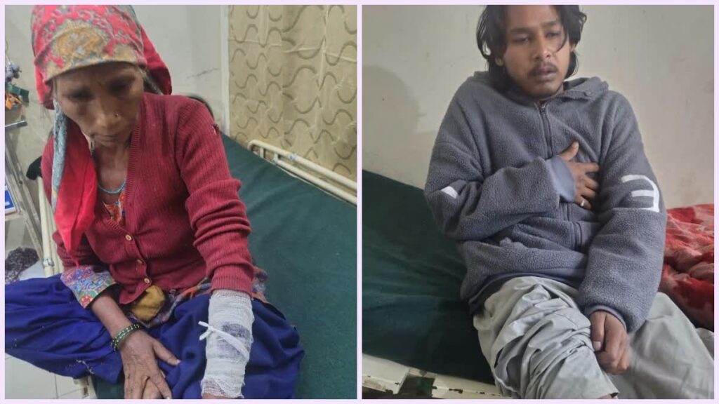 चमोली में भालू का आतंक, एक ही परिवार के चार लोगों को हमला कर किया घायल