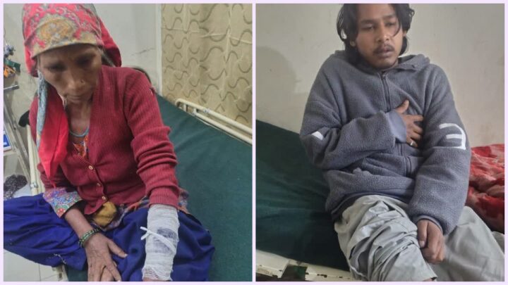 चमोली में भालू का आतंक, एक ही परिवार के चार लोगों को हमला कर किया घायल